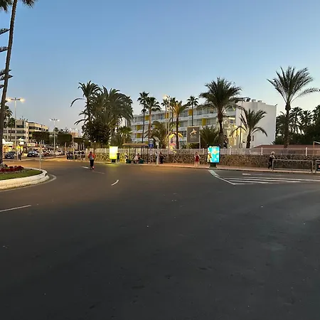 Aloe 314 *